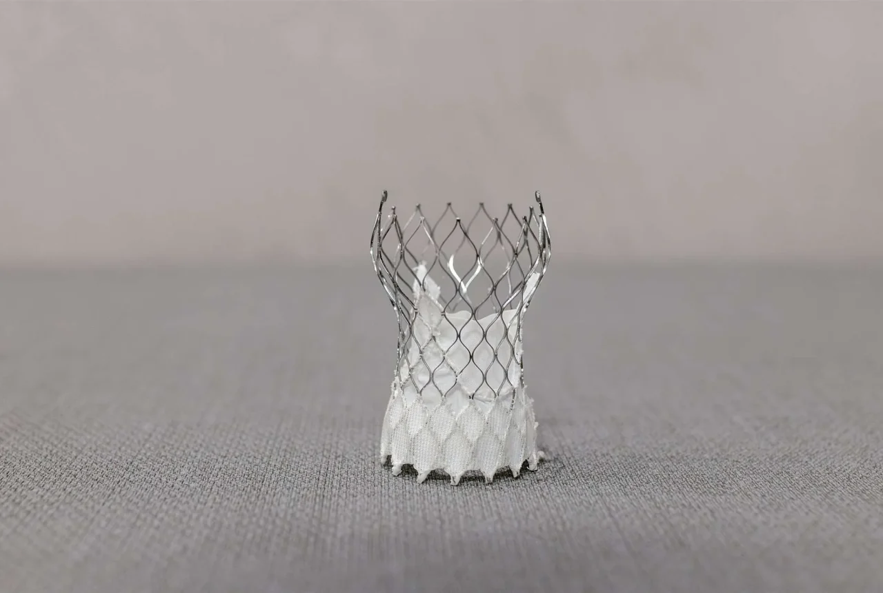 Details of a PFO occluder used in interventional cardiology